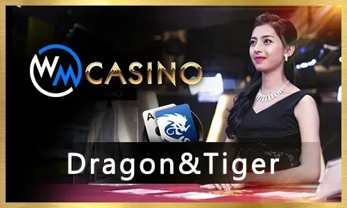 sz777 Bingo Frequently Asked Questions